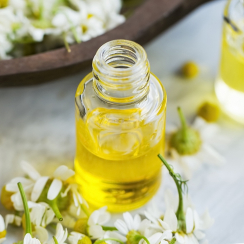 phytonutrient extracts
